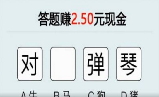 才智大比拼
