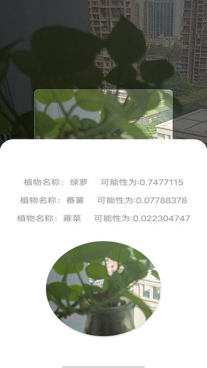 拍照识别植物弛意手机版