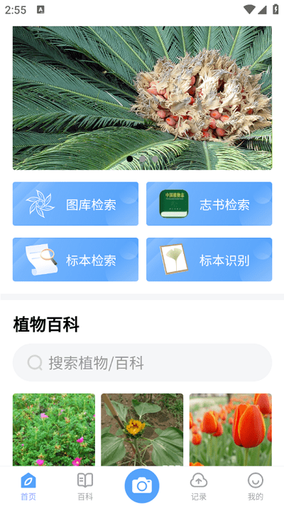 植物智最新版