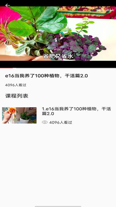 拍照识别植物弛意