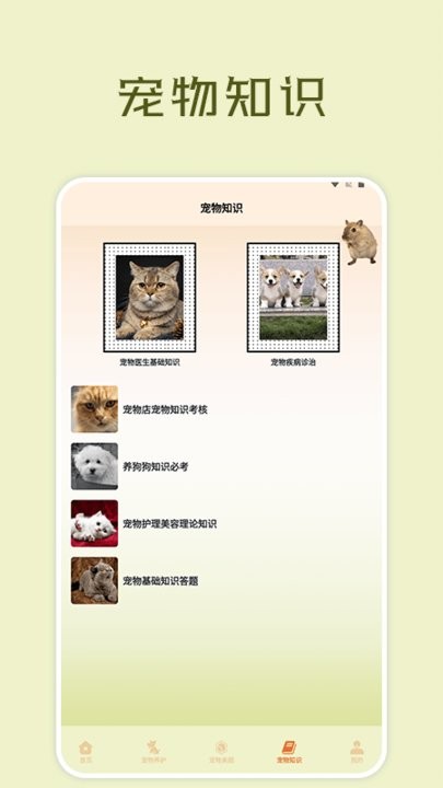 宠物小组件盒子安卓版