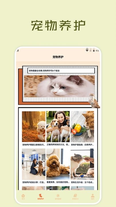 宠物小组件盒子官网版