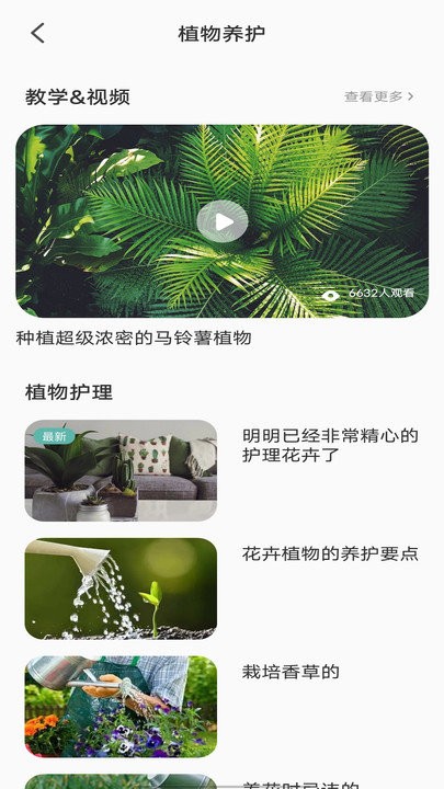 拍照识别植物弛意最新版