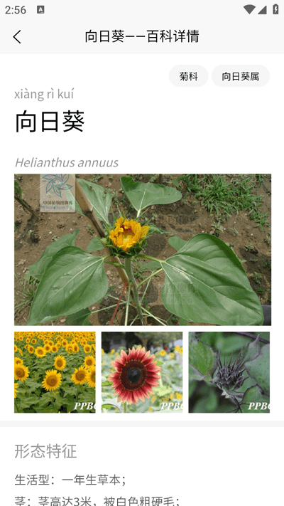 植物智免费版