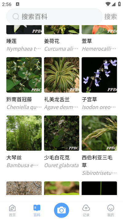 植物智官网版
