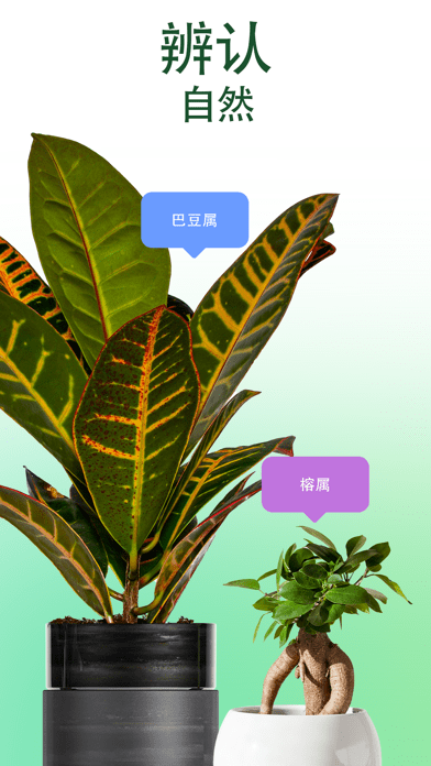 愛自然ID最新版
