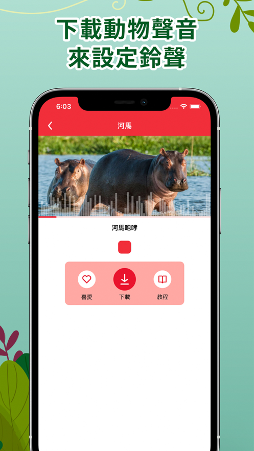 動(dòng)物聲音鈴聲